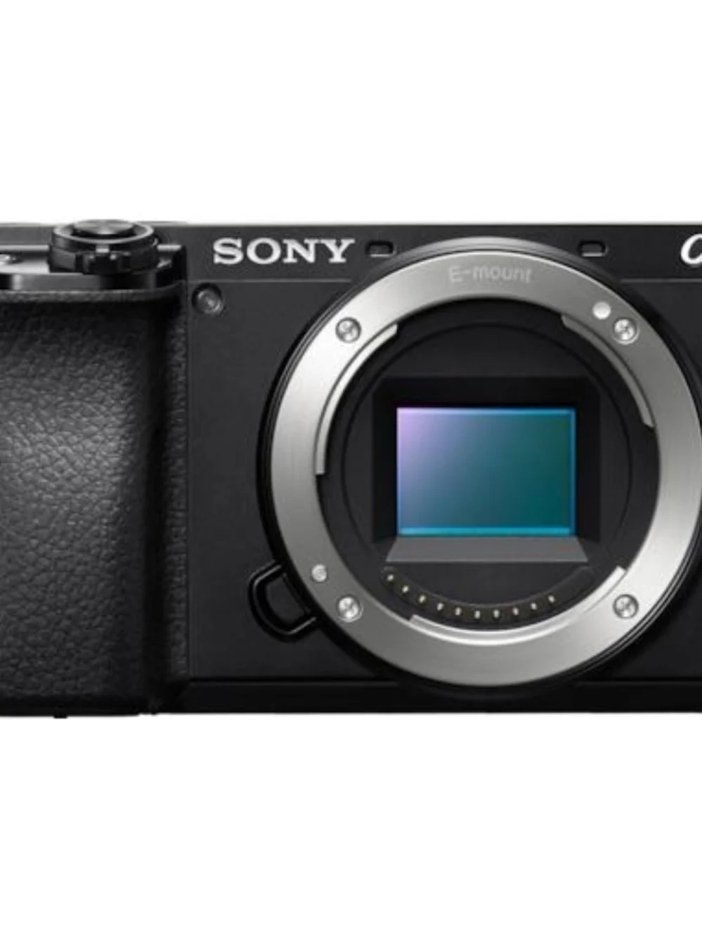 Sony Black Mirrorless Camera Body (Black)